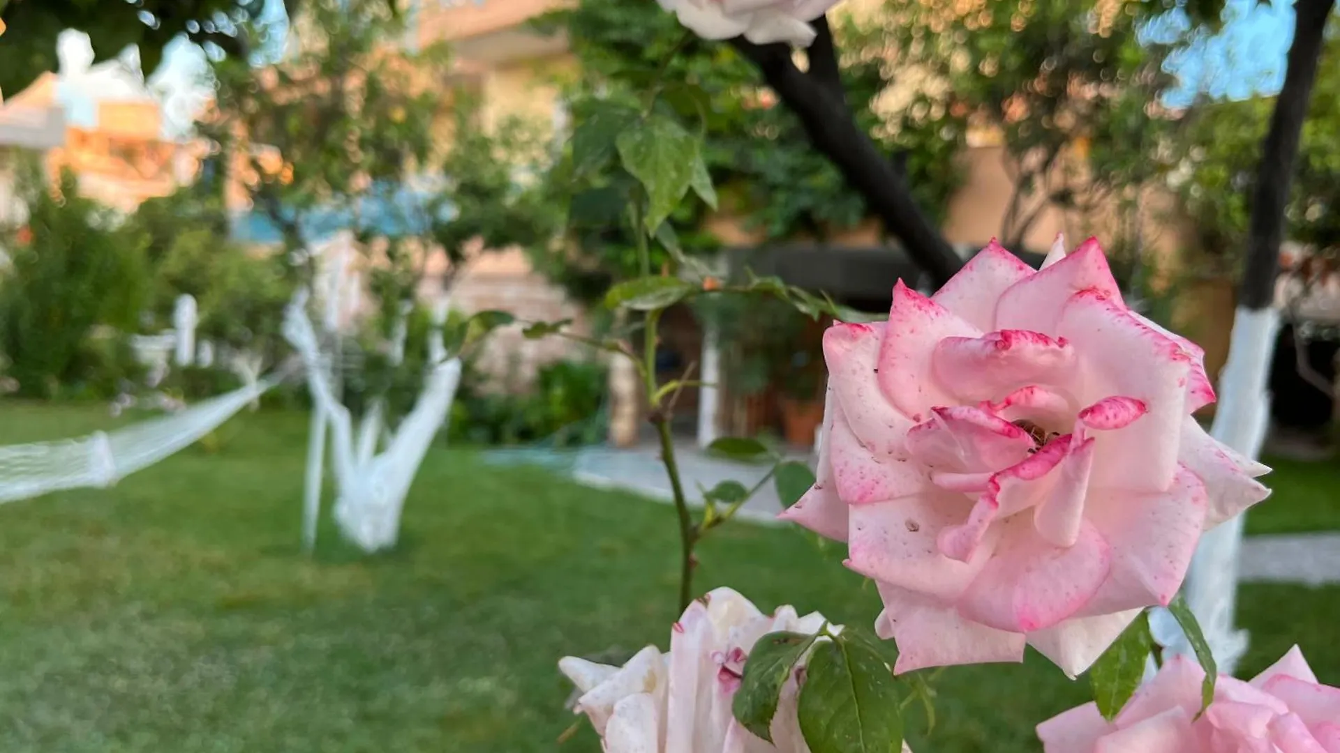 Laura Guest House 사밀